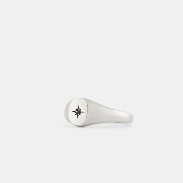 Silver Envy Signet Ring - Serge DeNimes
